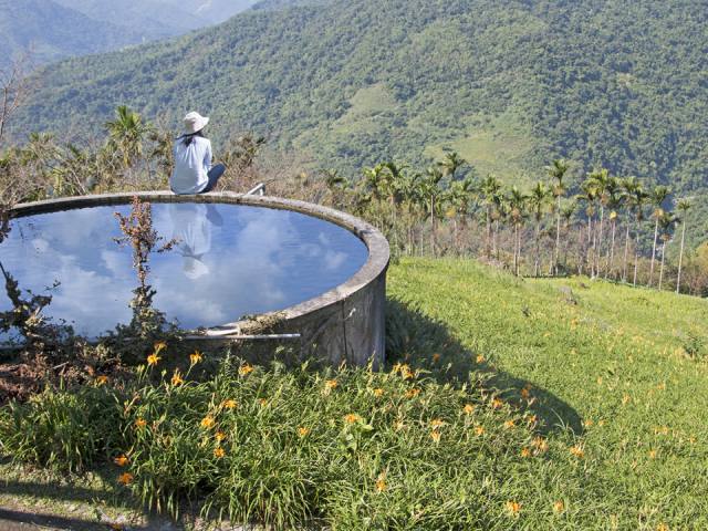 太麻里金針山:蓄水池與花田